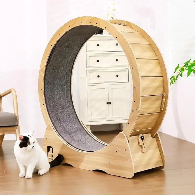 43-Inch Indoor Cat Exercise Wheel with Safety Lock by PetZync