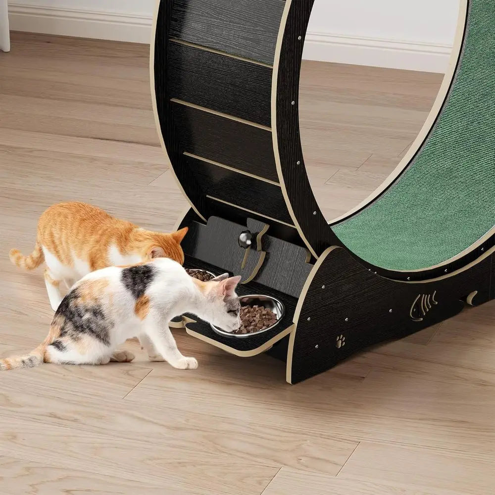 4-in-1 Indoor Cat Exercise Wheel with Scratcher, Hideaway and Feeding Station by PetZync