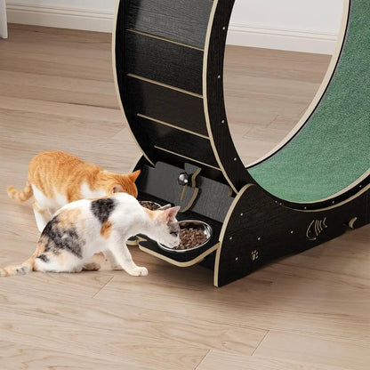 4-in-1 Indoor Cat Exercise Wheel with Scratcher, Hideaway and Feeding Station by PetZync