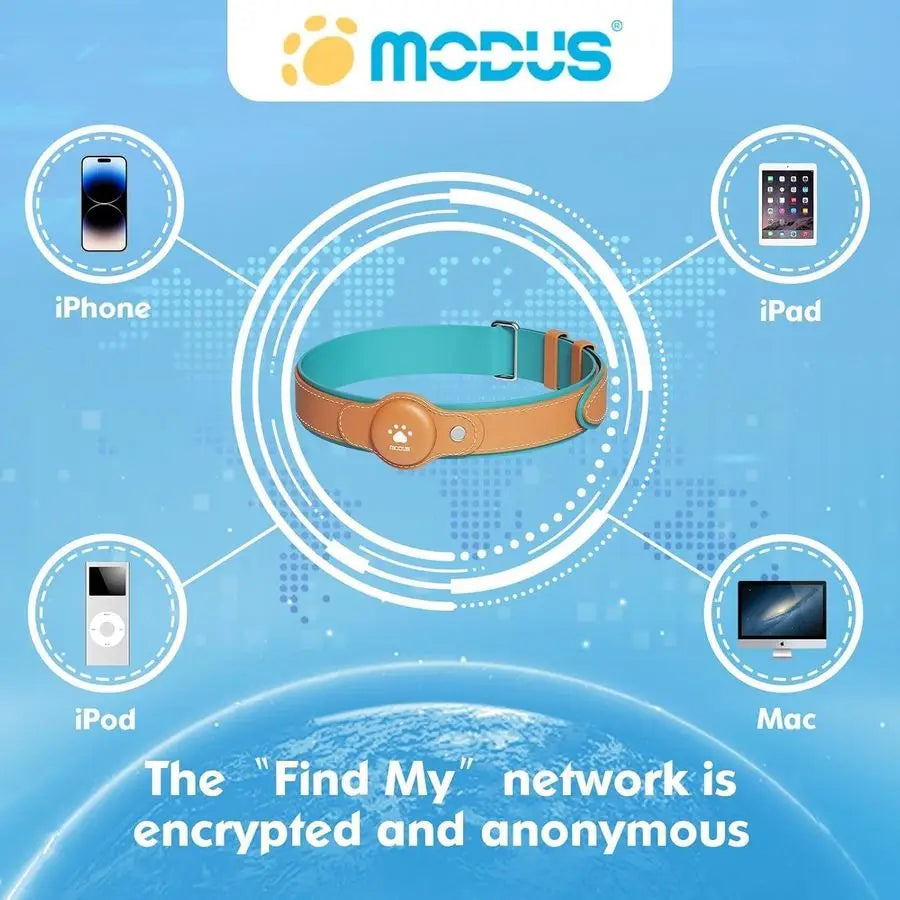 iOS Dog Tracking Collar with Apple Find My Support, No Monthly Fee by PetZync