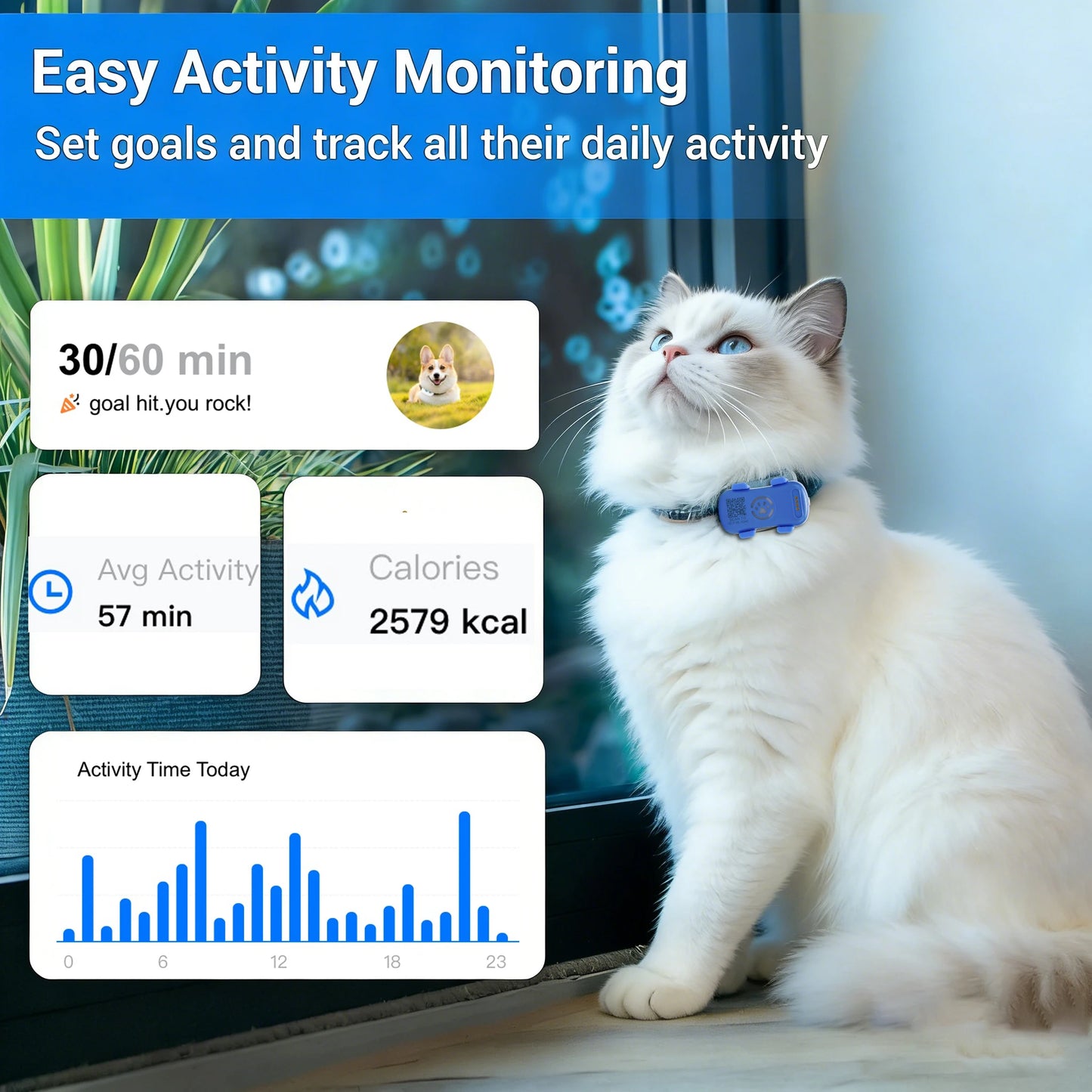 GPS Pet Tracker with Real-Time Location, Geofencing, and 1-Year Service Included by PetZync