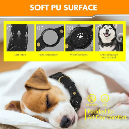 iOS Dog Tracking Collar with Apple Find My Support, No Monthly Fee by PetZync